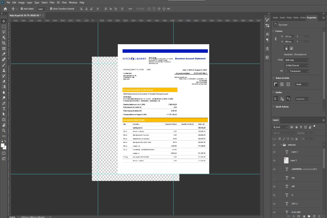 Modèle Word et PDF de déclaration d'entreprise de la Shanghai Rural Commercial Bank template